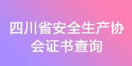 四川安全生产培训协会这个查询